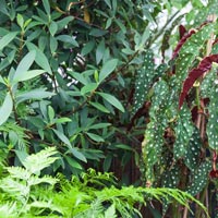 Chemical Machinery & Plant