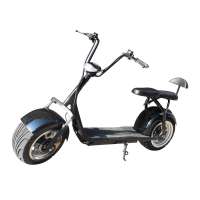 Mini Electric Scooter