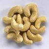 Processed Cashew Nuts in Delhi