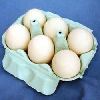 Poultry Eggs in Mumbai