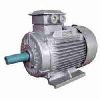 Squirrel Cage Induction Motor in Bangalore