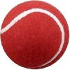 Rubber Cricket Ball