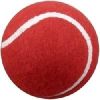 Rubber Cricket Ball in Meerut