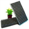 Seedling Trays in Coimbatore