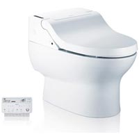 Toilet Bidet