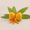 Alphonso Mangoes