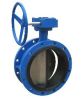 Double Flanged Butterfly Valves in Kolkata