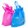 Non Woven Gift Bags