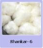 Indian Raw Cotton in Indore