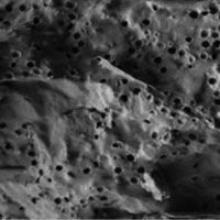 103578-1.jpg