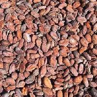 Organic Cocoa Beans