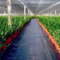 PP Woven Ground Cover