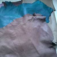 107862-1.jpg