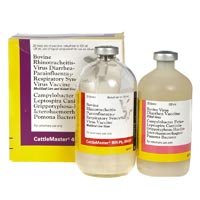 Cattle Medicine