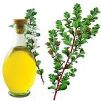 Buchu Oil