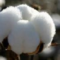 112730-1.jpeg