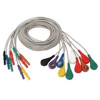 EEG Electrode