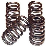 Engine Valve Springs