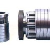 Flexible Roller Bearing