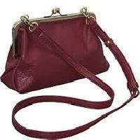 Frame Purse