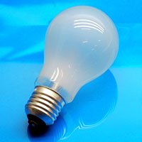 Frosted Bulbs