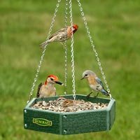 Hanging Bird Feeder