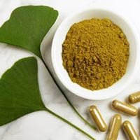 Ginkgo Biloba Extract