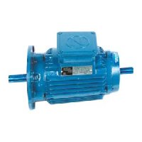 Hoist Motors