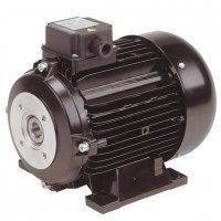Hollow Shaft Motor