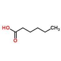 Hexanoic Acid