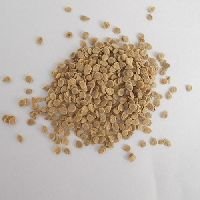 Hybrid Tomato Seeds