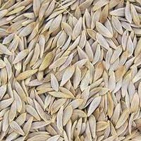 Lettuce Seeds