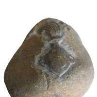 142139-960.jpg