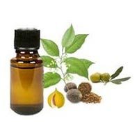 Kewra Oil
