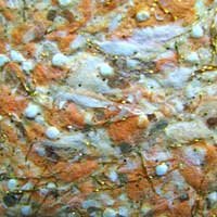 149631-1.jpg