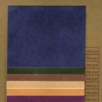 Metallic Coated Paper