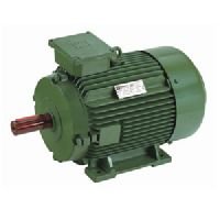 Multi Speed Motor