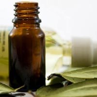 Perilla Seed Oil