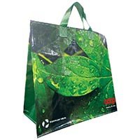 Reusable Bag