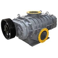 Roots Blower
