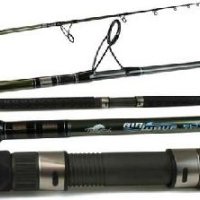 Spinning Rod