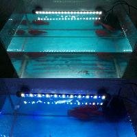 Submersible LED Lights
