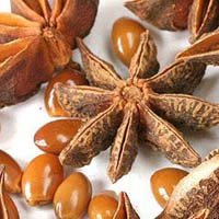 Star Anise Oil