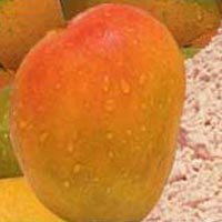Spray Dried Mango Powder