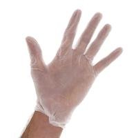 Vinyl Gloves