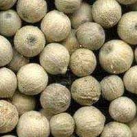 White Pepper Seeds