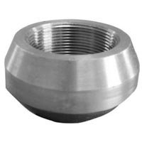 Weldolet Fitting