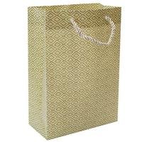 PVC Gift Bag