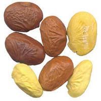 Mono Seeds