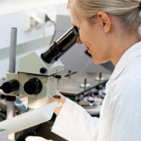 Textile Testing Service
